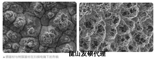 綦江蔡司綦江扫描电镜